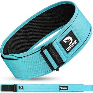 DMoose Weight Lifting Belt – Auto Locking Gym Belt for Olympic Training, WOD, Cross Training for Men and Women – 4″ Nylon Workout belt with Adjustable Buckle – Provides Lumbar Support and Stability(Cyan)
